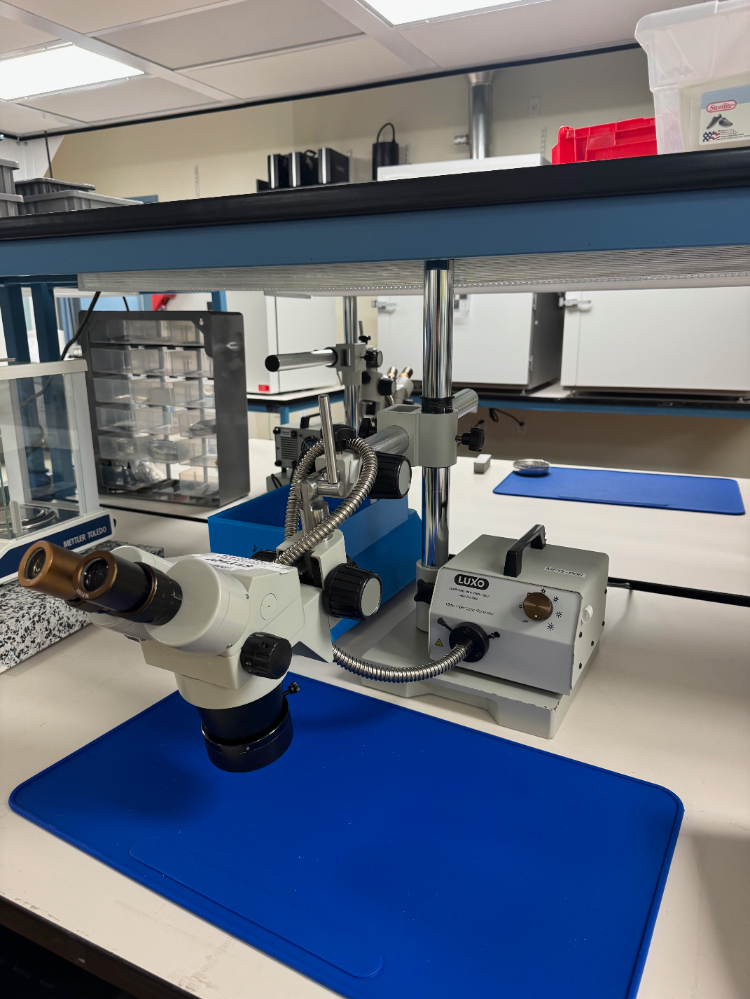 Image of Luxo Stereo Microscope